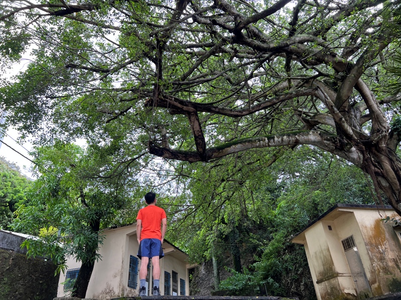 dagansan05 阿蓮-大崗山 颱風天撿小百岳 外掛盤龍峽谷一線天