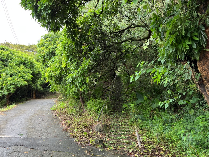 dagansan07 阿蓮-大崗山 颱風天撿小百岳 外掛盤龍峽谷一線天