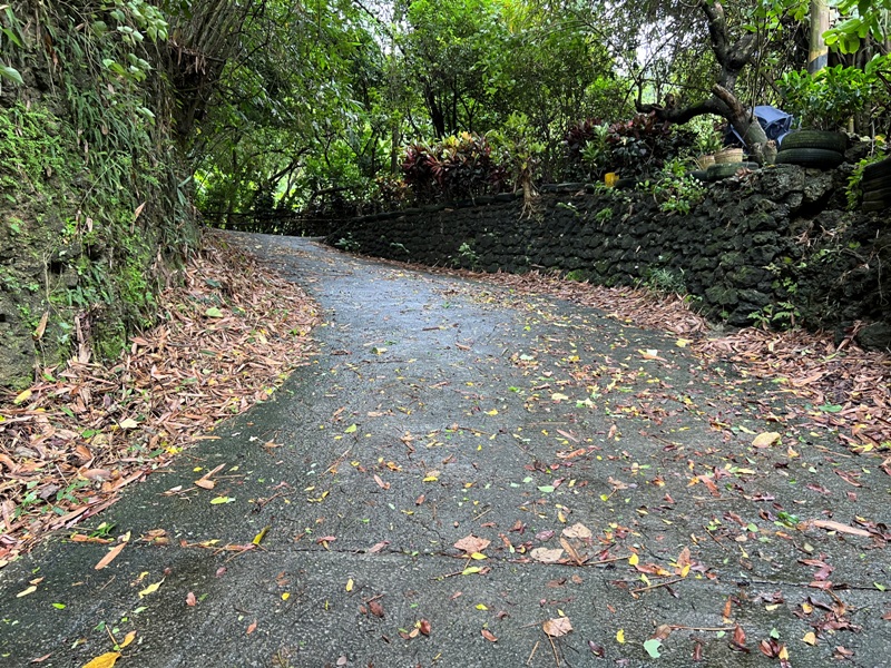 dagansan08 阿蓮-大崗山 颱風天撿小百岳 外掛盤龍峽谷一線天