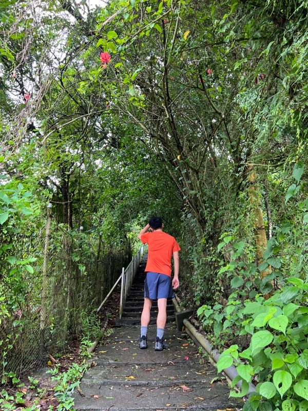 dagansan09-rotated 阿蓮-大崗山 颱風天撿小百岳 外掛盤龍峽谷一線天