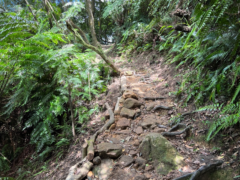 grandtrail413 士林-台北大縱走第四段 有山有溪有農莊匯集各樣景觀