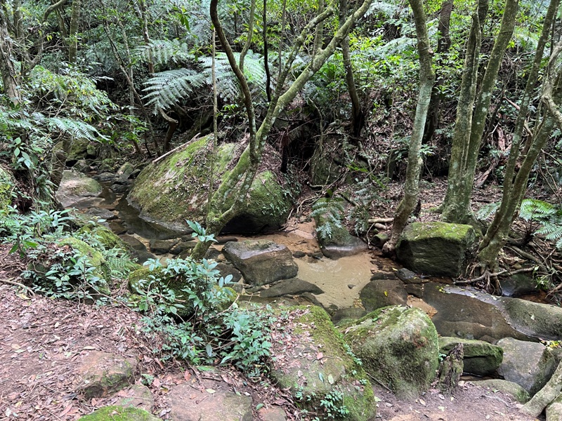 grandtrail414 士林-台北大縱走第四段 有山有溪有農莊匯集各樣景觀