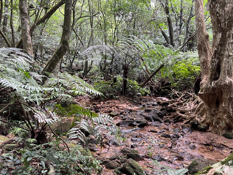 grandtrail415 士林-台北大縱走第四段 有山有溪有農莊匯集各樣景觀