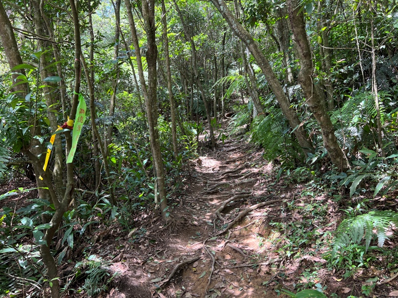 grandtrail417 士林-台北大縱走第四段 有山有溪有農莊匯集各樣景觀