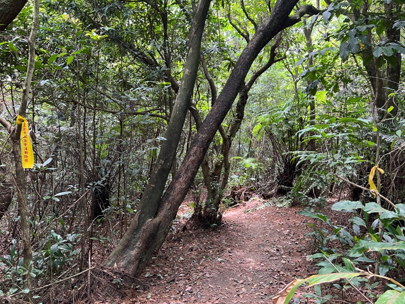 grandtrail419 士林-台北大縱走第四段 有山有溪有農莊匯集各樣景觀