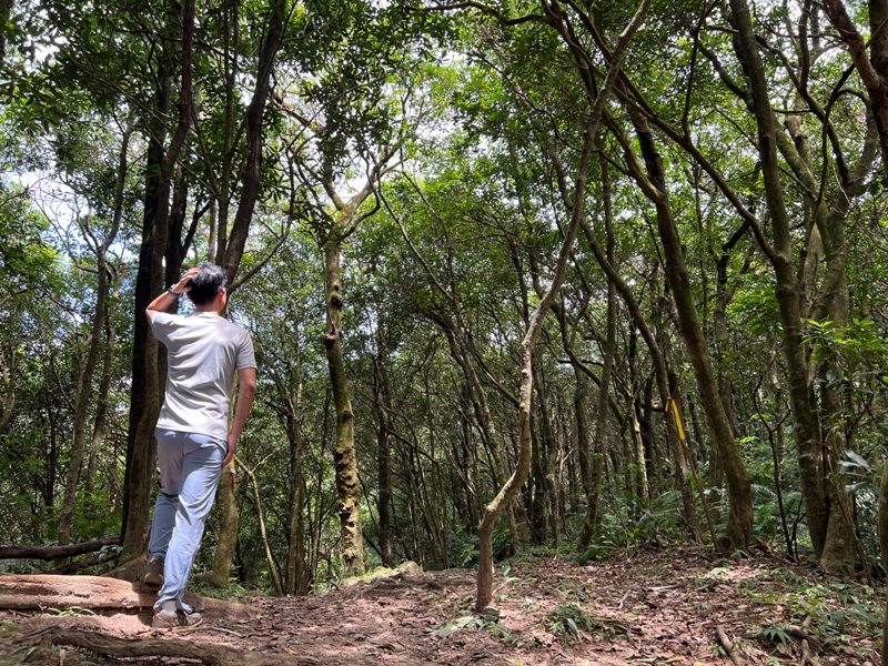 grandtrail420 士林-台北大縱走第四段 有山有溪有農莊匯集各樣景觀