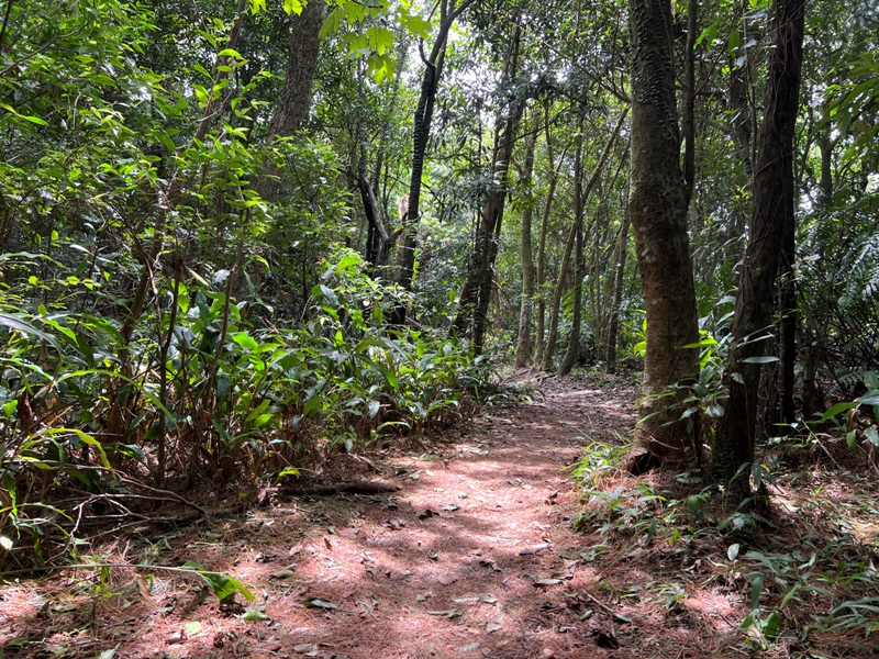 grandtrail421 士林-台北大縱走第四段 有山有溪有農莊匯集各樣景觀