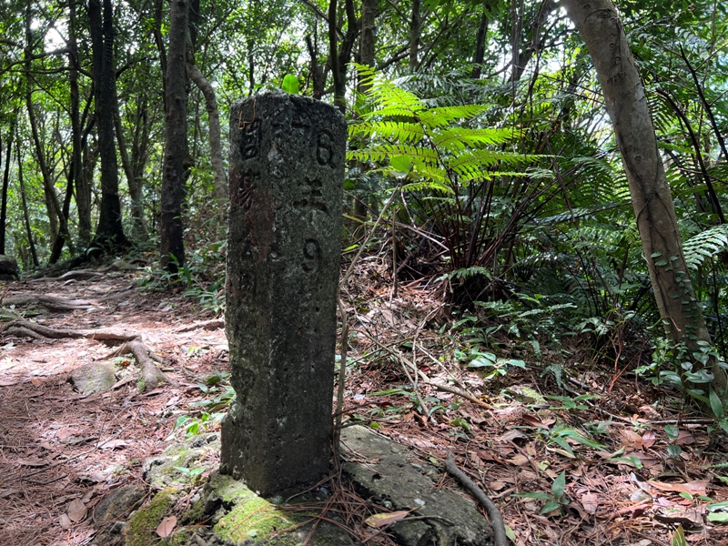 grandtrail422 士林-台北大縱走第四段 有山有溪有農莊匯集各樣景觀