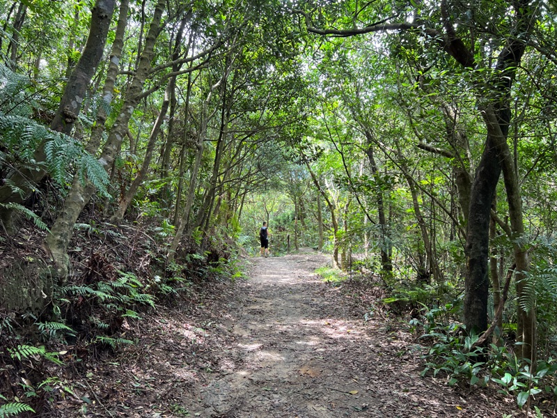 grandtrail425 士林-台北大縱走第四段 有山有溪有農莊匯集各樣景觀