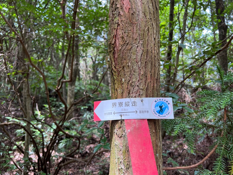 grandtrail426 士林-台北大縱走第四段 有山有溪有農莊匯集各樣景觀