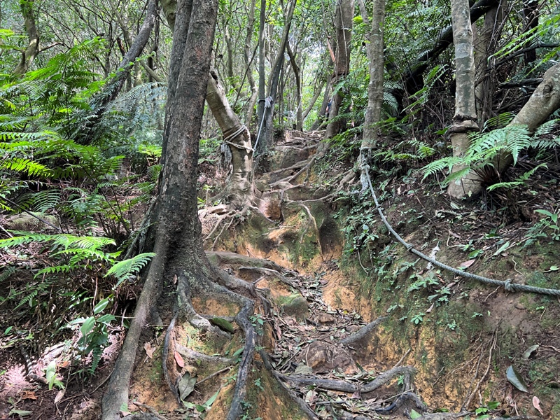 grandtrail427 士林-台北大縱走第四段 有山有溪有農莊匯集各樣景觀