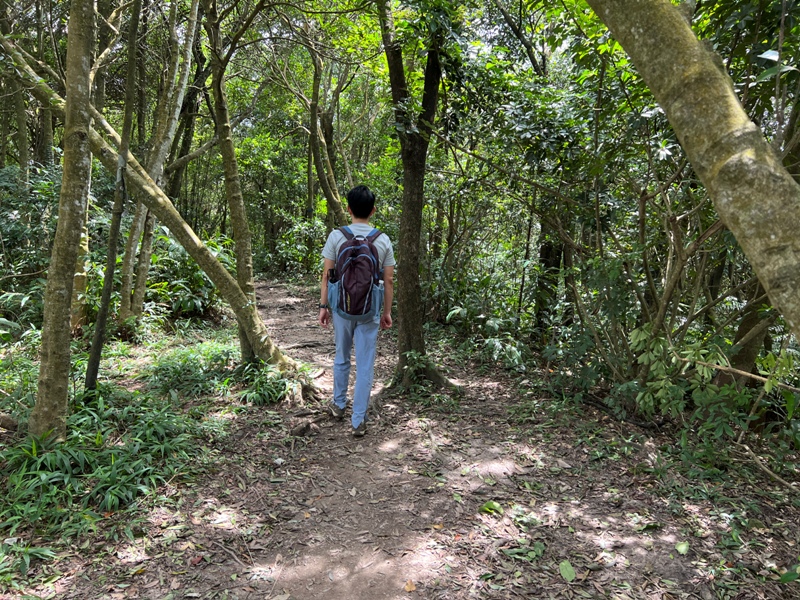 grandtrail428 士林-台北大縱走第四段 有山有溪有農莊匯集各樣景觀