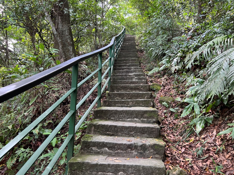 grandtrail439 士林-台北大縱走第四段 有山有溪有農莊匯集各樣景觀