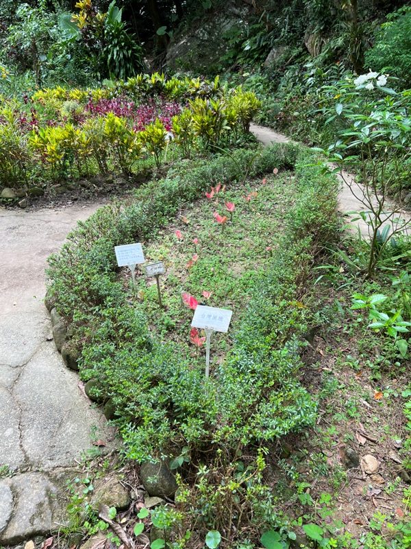 grandtrail440-rotated 士林-台北大縱走第四段 有山有溪有農莊匯集各樣景觀