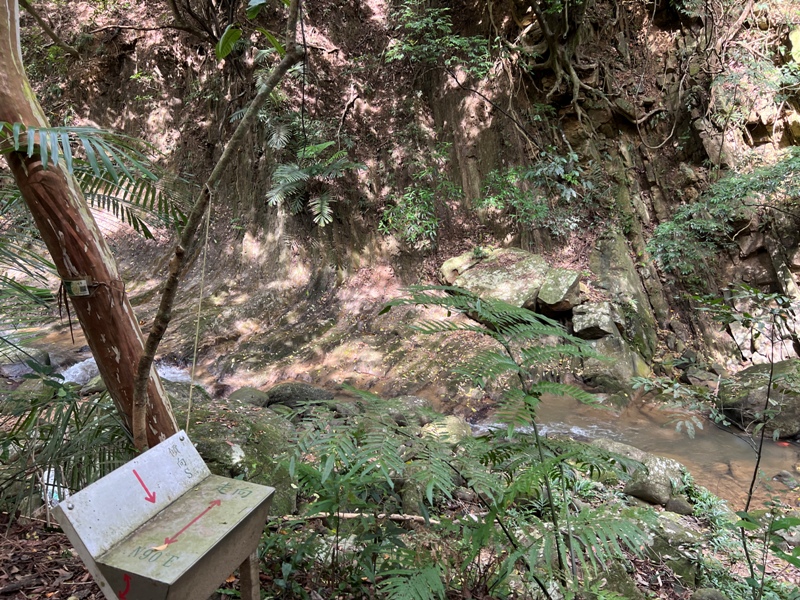 grandtrail441 士林-台北大縱走第四段 有山有溪有農莊匯集各樣景觀