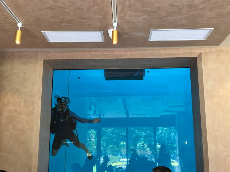 sizzo0117 西屯-Sizzo款款好食 與人魚共享早午餐