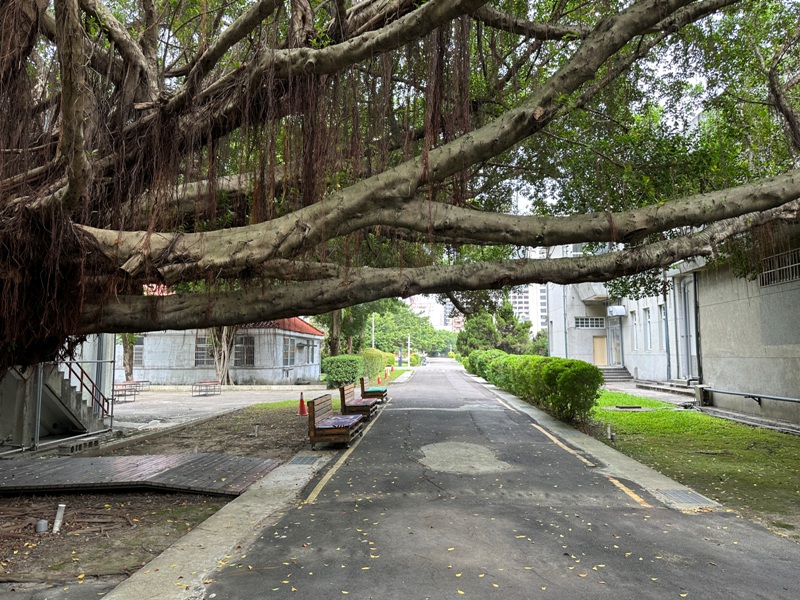 versebarcafe06 大安-Verse Bar & Cafe舊空總 實驗廣場中的藝文咖啡館