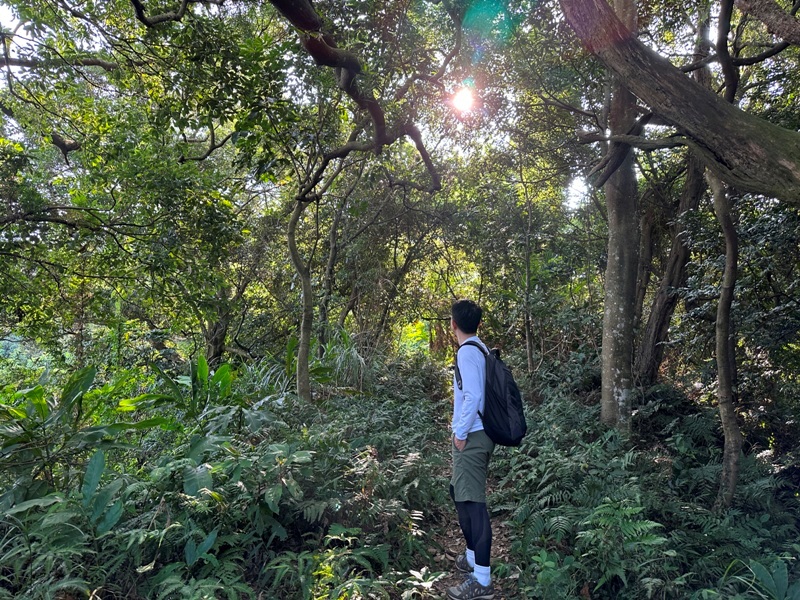 kinmenmt3409 大溪-金面山 全程林蔭遮蔽 攀爬不斷很有趣