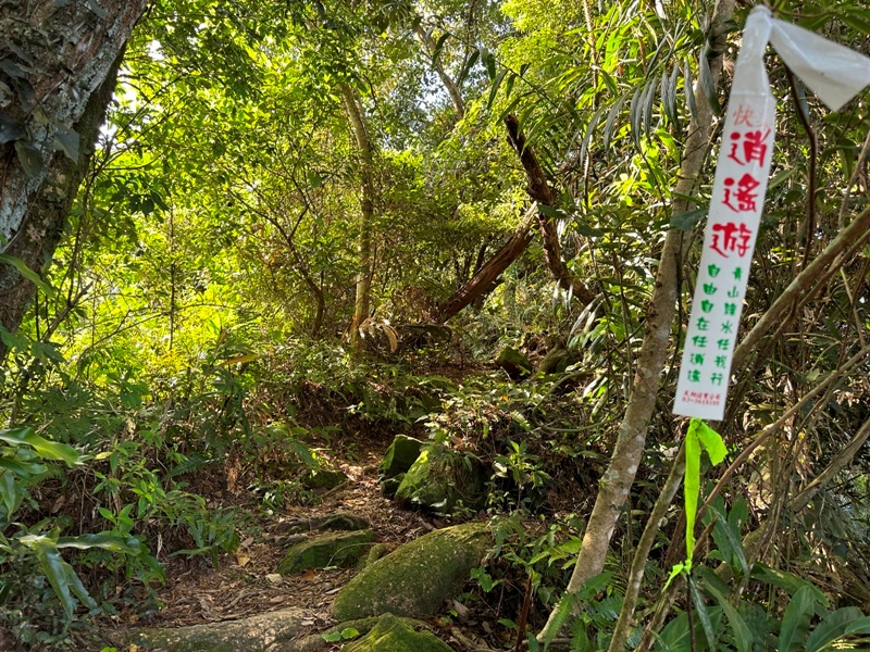 kinmenmt3413 大溪-金面山 全程林蔭遮蔽 攀爬不斷很有趣