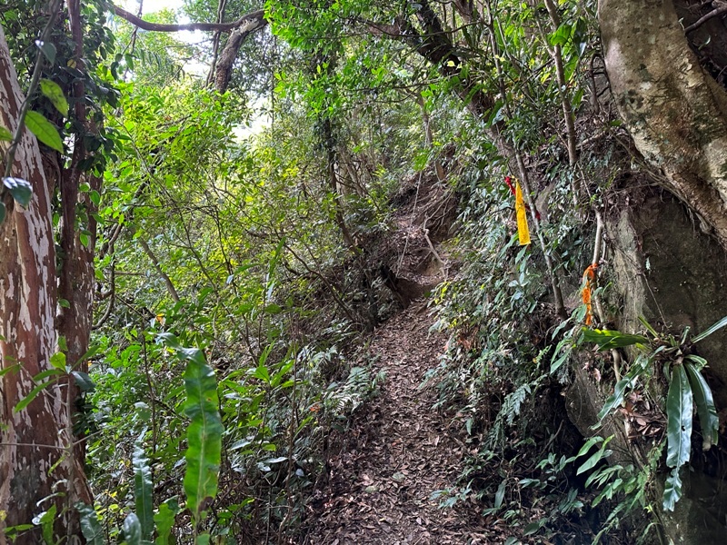 kinmenmt3416 大溪-金面山 全程林蔭遮蔽 攀爬不斷很有趣