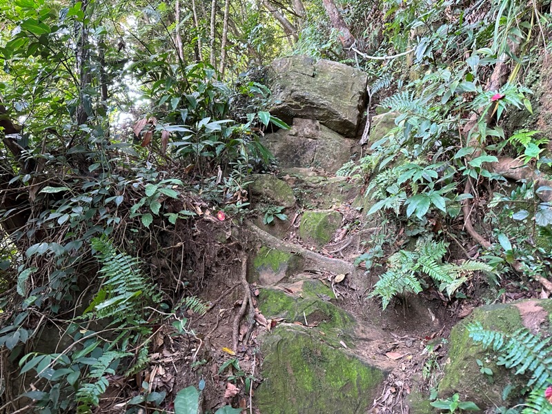 kinmenmt3418 大溪-金面山 全程林蔭遮蔽 攀爬不斷很有趣