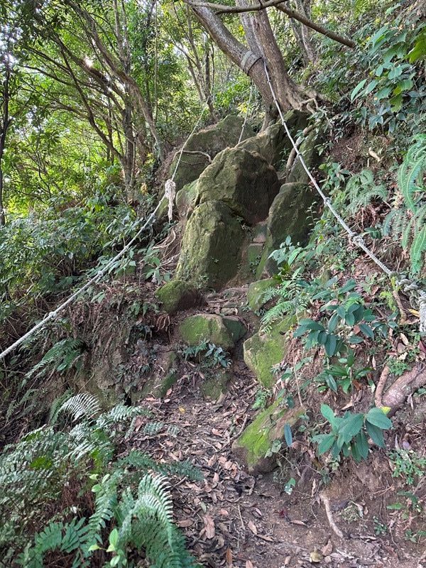 kinmenmt3419-rotated-e1664723372333 大溪-金面山 全程林蔭遮蔽 攀爬不斷很有趣