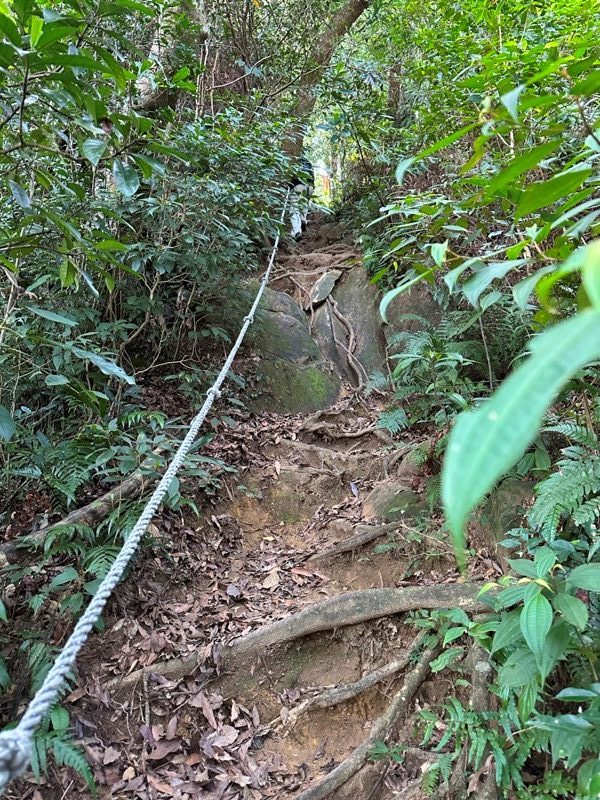 kinmenmt3423-rotated-e1664723324607 大溪-金面山 全程林蔭遮蔽 攀爬不斷很有趣