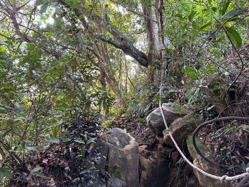 kinmenmt3424 大溪-金面山 全程林蔭遮蔽 攀爬不斷很有趣