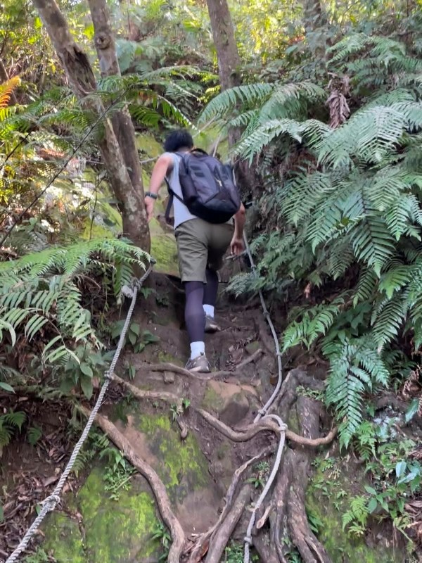 大溪-金面山 全程林蔭遮蔽 攀爬不斷很有趣