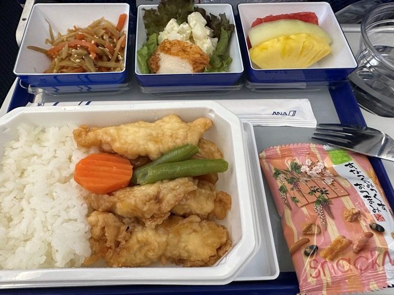 flytokyoo20221006-rotated-e1667698919209 202210 台北東京 雲端飛行的感覺真好