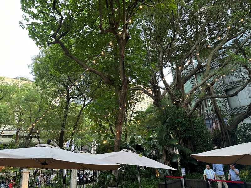 lightspot07 中山-建築優雅咖啡溫潤 白色古蹟的優雅光點與羊毛與花