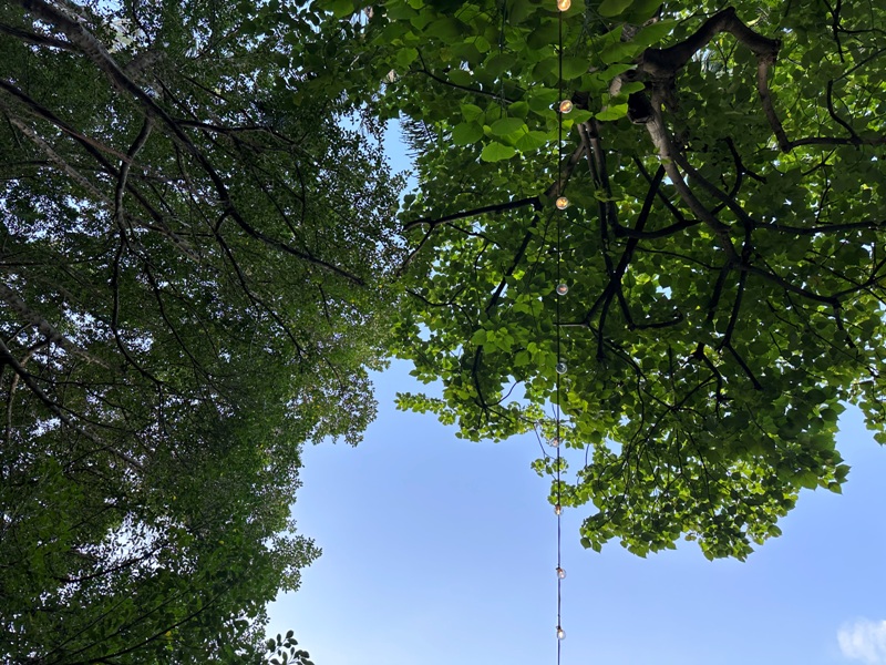 lightspot12 中山-建築優雅咖啡溫潤 白色古蹟的優雅光點與羊毛與花