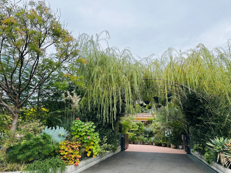 littledaring03 Minami Aoyama-南青山Little Daring Coffee Roasters城市中的莊園風 自家烘焙好好喝