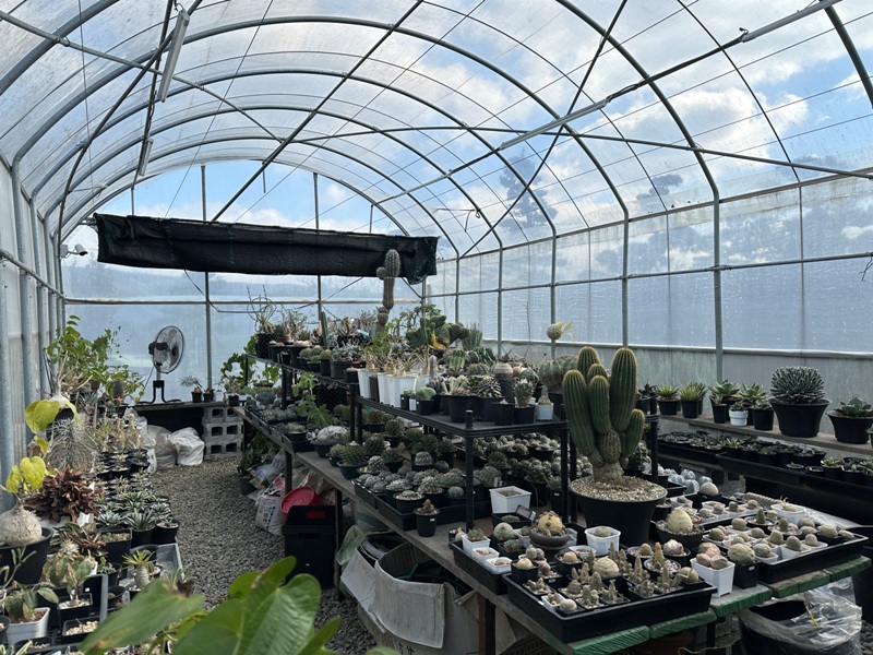 urayama33 士林-Merci裏山 陽明山溫室中竟有日式復古小店