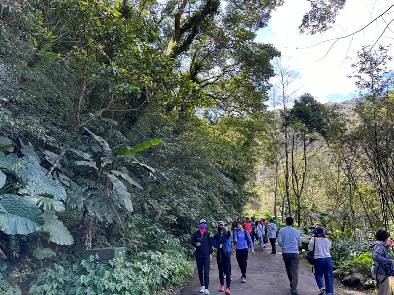 Neidong03 烏來-內洞森林遊樂區 O型步道觀瀑布賞山色溪景