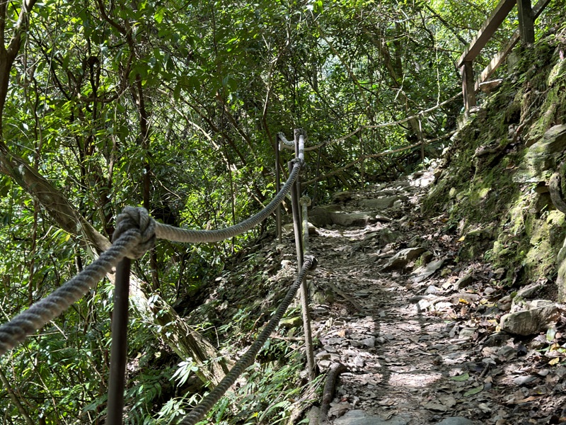 Neidong16 烏來-內洞森林遊樂區 O型步道觀瀑布賞山色溪景