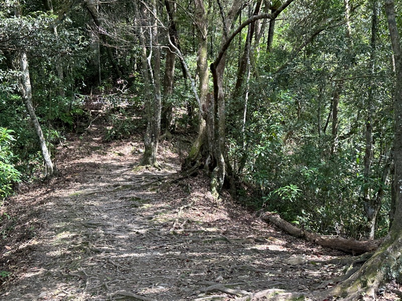 Neidong17 烏來-內洞森林遊樂區 O型步道觀瀑布賞山色溪景