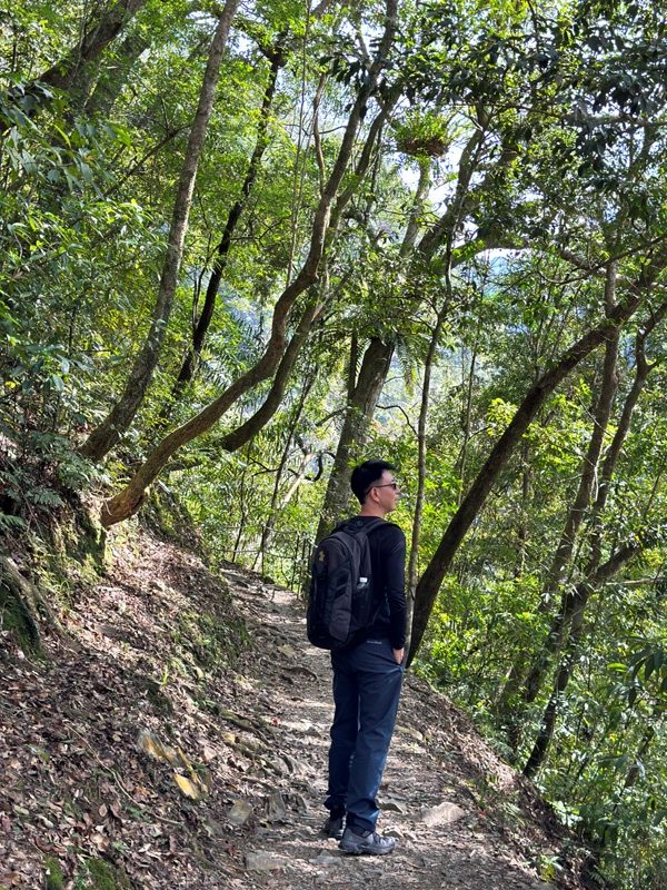 Neidong18-rotated 烏來-內洞森林遊樂區 O型步道觀瀑布賞山色溪景