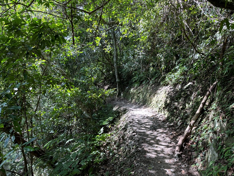 Neidong19 烏來-內洞森林遊樂區 O型步道觀瀑布賞山色溪景