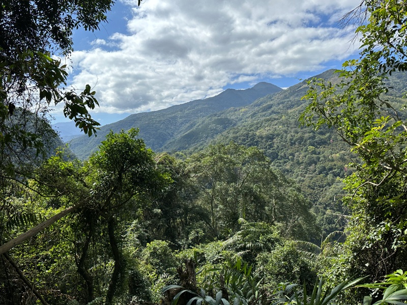 Neidong20 烏來-內洞森林遊樂區 O型步道觀瀑布賞山色溪景