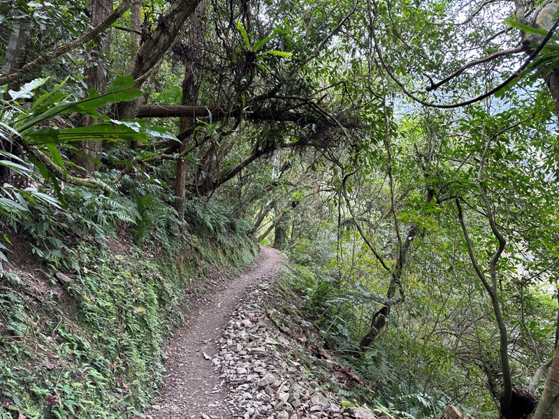 Neidong23 烏來-內洞森林遊樂區 O型步道觀瀑布賞山色溪景