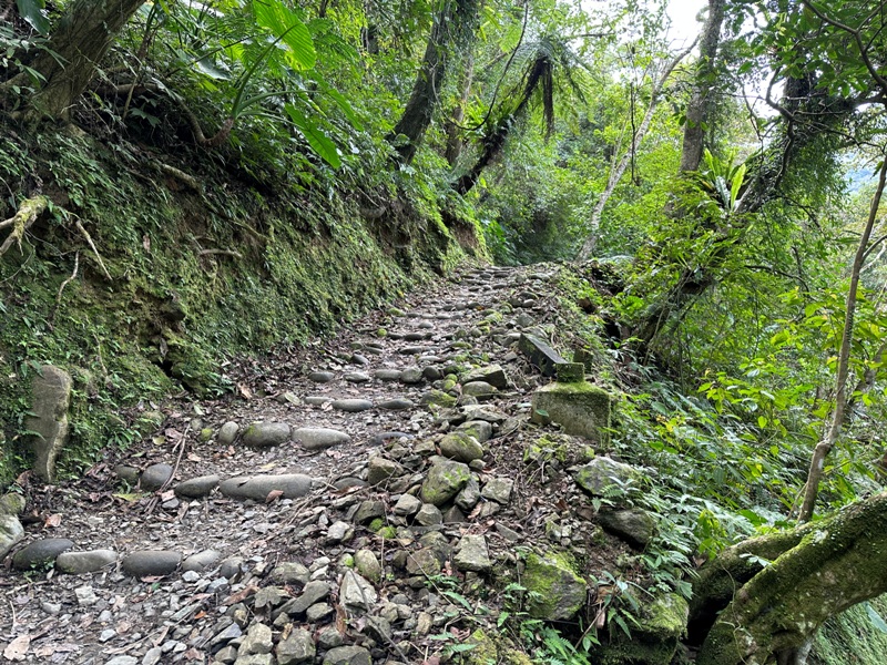 Neidong24 烏來-內洞森林遊樂區 O型步道觀瀑布賞山色溪景