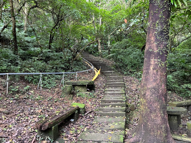 tienshang04 土城-天上山 快閃小百岳 20分鐘登頂