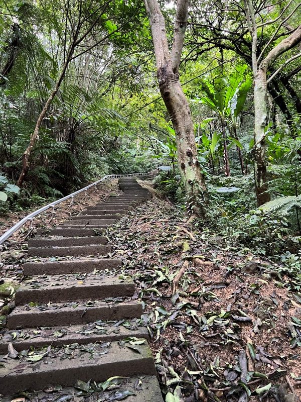 tienshang05-rotated 土城-天上山 快閃小百岳 20分鐘登頂