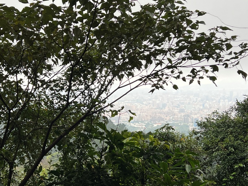 tienshang09 土城-天上山 快閃小百岳 20分鐘登頂