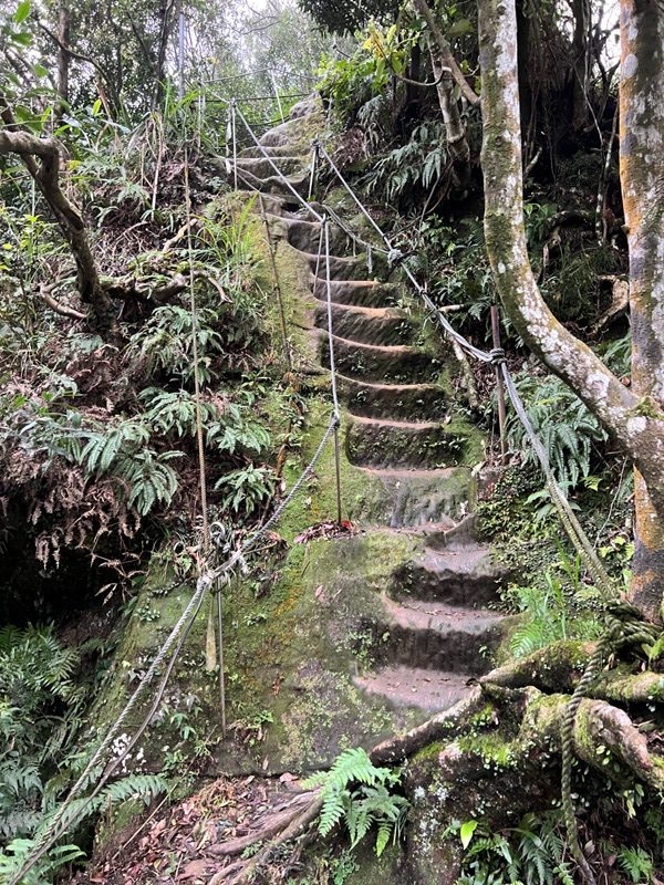 tienshang10-rotated 土城-天上山 快閃小百岳 20分鐘登頂