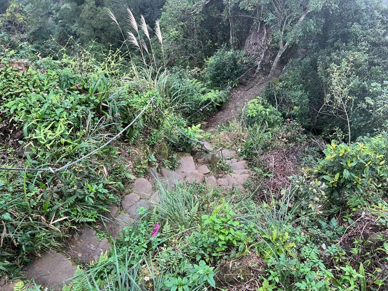 tienshang19-rotated-e1644937572568 土城-天上山 快閃小百岳 20分鐘登頂