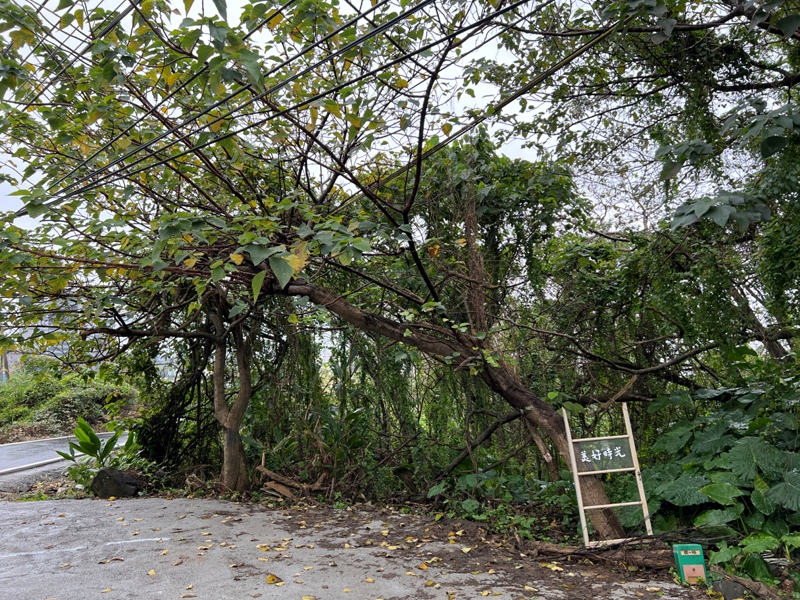 wonderfultime01 八里-坐擁山水美景 滿滿老物 淡水河畔的Man's Talk在美好時光