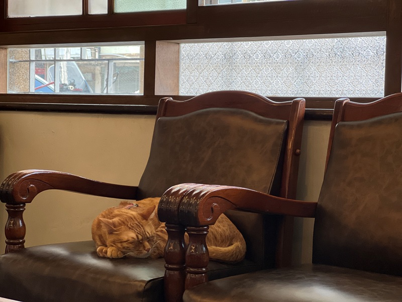 cafeasusual15 台中南區-如常所在 老宅新生 日式輕鬆氣氛 喵星人當家