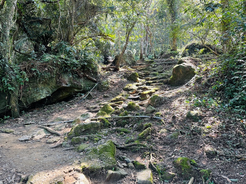 fivefingers04 五峰-五指山 美哉五指連峰